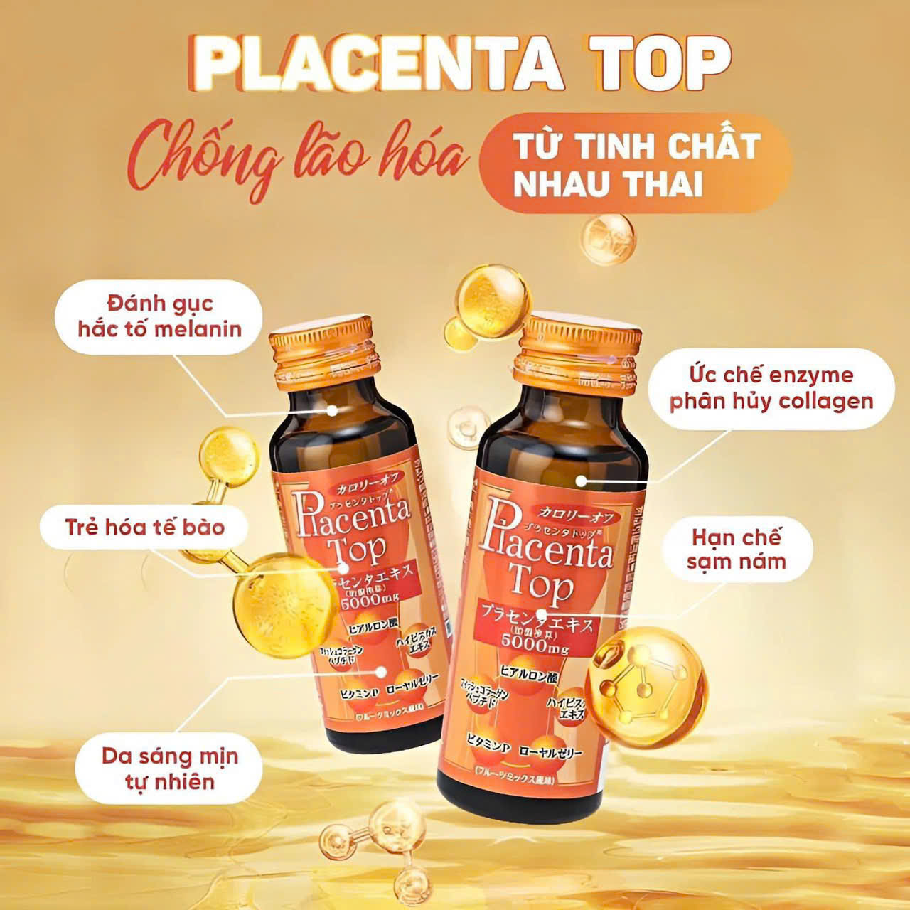 Placenta Top